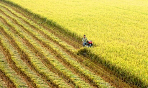 Doanh nghiệp du lịch, nông nghiệp, kinh tế số chưa hết 