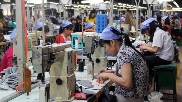 Trong tháng 1/2019, phần lớn các lĩnh vực đều có số doanh nghiệp thành lập mới giảm so với cùng kỳ năm trước