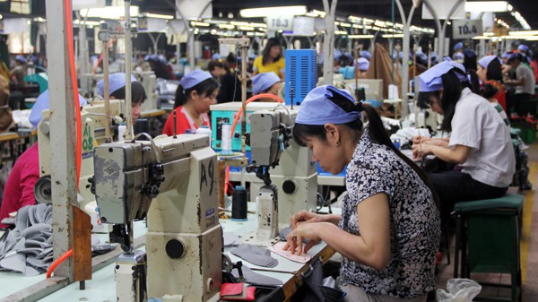 Không giảm thuế cho doanh nghiệp vừa là để tránh tình trạng ưu đãi tràn lan, làm giảm hiệu quả của chính sách khuyến khích, hỗ trợ. Ảnh minh hoạ.