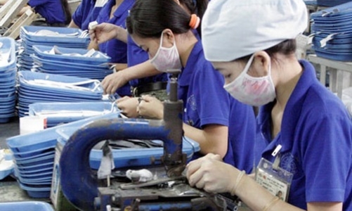 2015 sẽ là năm “lịch sử” về số doanh nghiệp thành lập mới