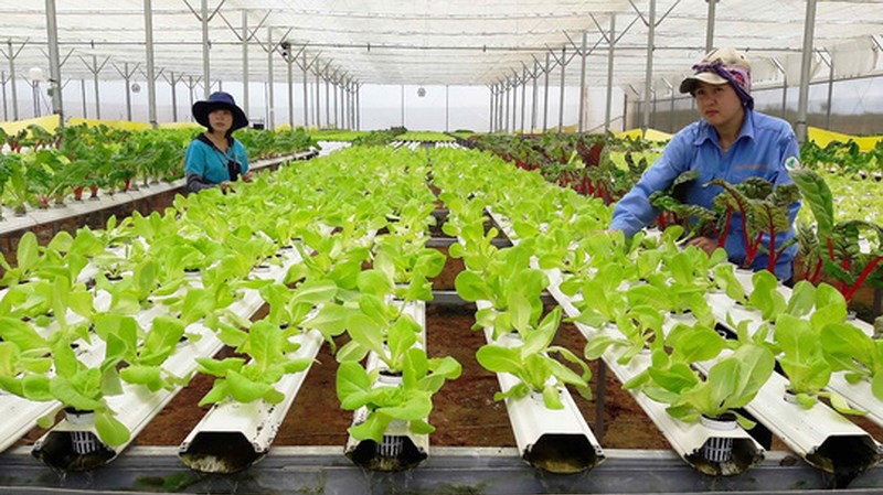 Chính phủ đã ra nghị quyết về Ban hành cơ chế thúc đẩy tập trung đất đai, tạo quỹ đất để thu hút doanh nghiệp đầu tư vào nông nghiệp, nông thôn.