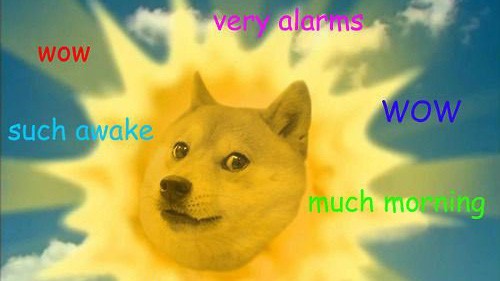 Trào lưu Doge phổ biến vào năm 2013 được lấy cảm hứng để tạo ra tiền ảo Dogecoin - Ảnh: DailyEdge.ie.