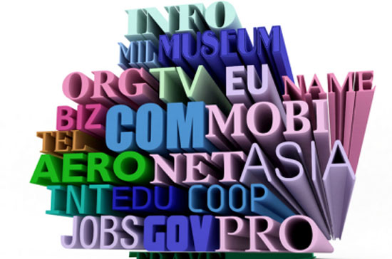 Tên miền .vn đang trở thành miếng mồi ngon của tội phạm công nghệ?