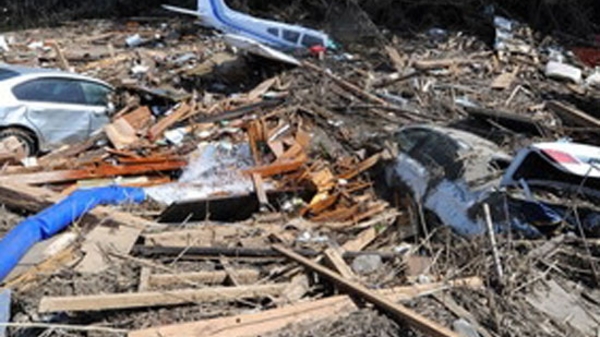 Việt Nam thăm hỏi, giúp Nhật Bản khắc phục hậu quả thiên tai