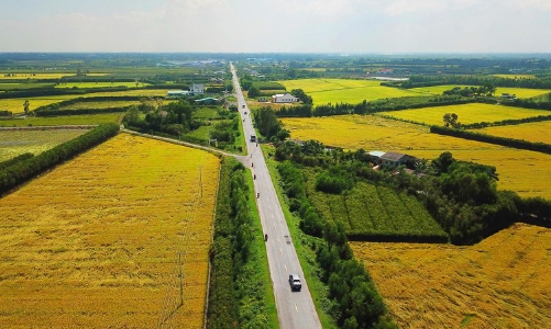 Thủ tướng duyệt chuyển mục đích sử dụng hơn 50 ha đất nông nghiệp ở Long An