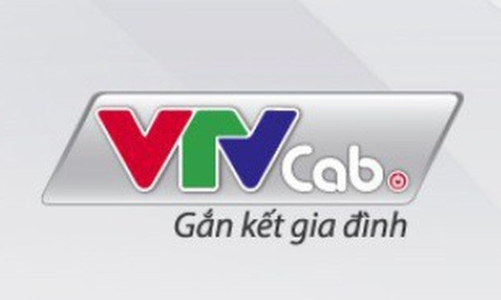 VTVcab thông báo chọn nhà cung cấp dịch vụ thẩm định giá và tư vấn thoái vốn