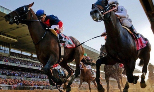 Doanh nghiệp xin mở trường đua ngựa, Đà Nẵng được đề nghị lập quy hoạch mới