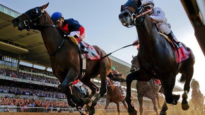 Theo Bộ Kế hoạch và Đầu tư, việc huy động vốn góp thực hiện Dự án Câu lạc bộ Cưỡi ngựa của Công ty Cổ phần Keyhinge Toys Việt Nam là khó khá thi.