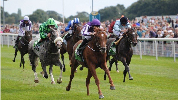 Theo Hà Nội, tiền thuế tiêu thụ đặc biệt do hoạt động đua ngựa khi Dự án đi vào hoạt động khoảng 100-200 triệu USD/năm.