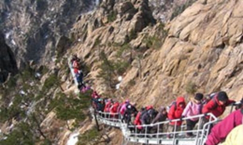 BIC cung cấp bảo hiểm du lịch có hỗ trợ SOS