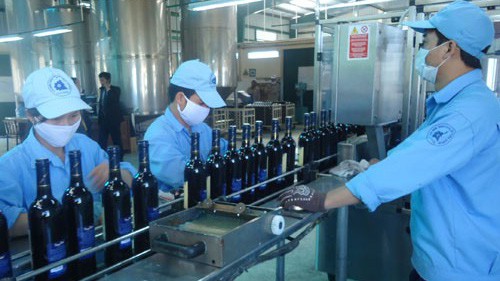 Xưởng sản xuất rượu vang của Thực phẩm Lâm Đồng.