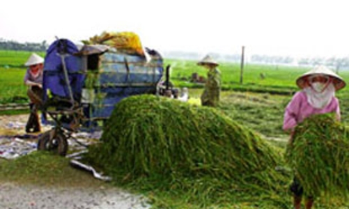 Hà Nội sau một năm mở rộng: Thương tiếc đồng quê