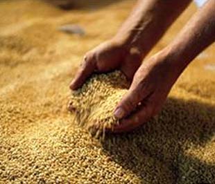 Một trong những nguy cơ đáng kể là sự giảm sút đầu tư tư nhân trong lĩnh vực nông nghiệp trong thời kỳ kinh tế khó khăn hiện nay.