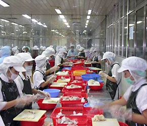 Đa số các doanh nghiệp hiện nay vẫn tách rời hoạt động sản xuất và tiêu thụ hàng hoá.