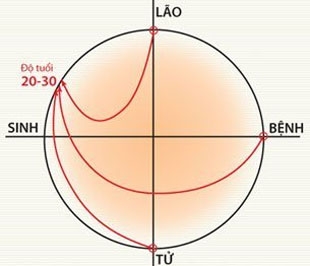 Khi có những giải pháp thấu tình đạt lý, có sự thao lược từ cấp lãnh đạo đến sự đồng thuận cao của tập thể cán bộ, nhân viên thì doanh nghiệp có thể nhẹ nhàng đi qua cửa “lão, bệnh, tử”.