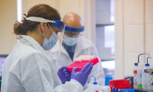 Cổ phiếu công ty thuốc xịt mũi chống Covid-19 tăng gần 500% một phiên