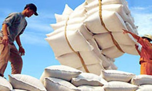 Việt Nam sẽ xuất khẩu gạo sang Đông Timo