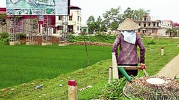 Từ 1/1/2010, kiểm kê đất đai trên phạm vi toàn quốc