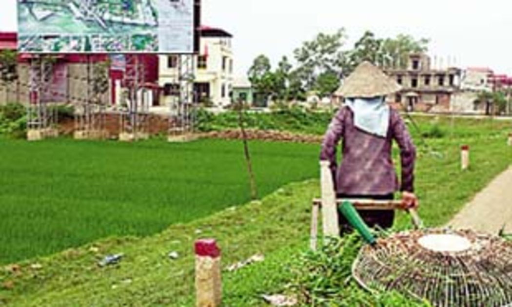 Việc kiểm kê sẽ thực hiện trên phạm vi toàn quốc, nhằm xác định rõ quỹ đất đang sử dụng cũng như diện tích đất chưa được khai thác hiệu quả để có biện pháp khắc phục - Ảnh: Trần Việt Đức.