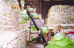 Kim ngạch xuất khẩu gạo 10 tháng đầu năm thu về khoảng 2,4 tỷ USD.