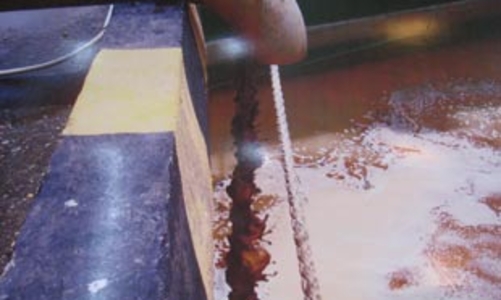 Đình chỉ sản xuất của Vedan sao vẫn vướng?