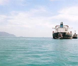 Tàu nước ngoài trên vịnh Vân Phong - Ảnh: TT.