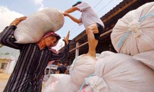Xuất khẩu gạo sẽ là ngành kinh doanh có điều kiện?
