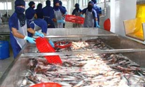 Nga tạm ngừng nhập khẩu cá tra, basa Việt Nam