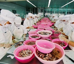 Thủy sản là 1 trong 2 ngành xuất khẩu chính của An Giang.