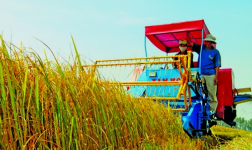 Thêm nhiều ưu đãi cho đầu tư vào nông nghiệp, nông thôn