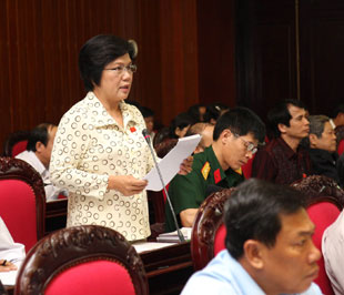 Đại biểu Dương Kim Anh: Chất lượng vệ sinh an toàn thực phẩm ở thị trường nội địa chưa được quan tâm đúng mức - Ảnh: TTXVN.