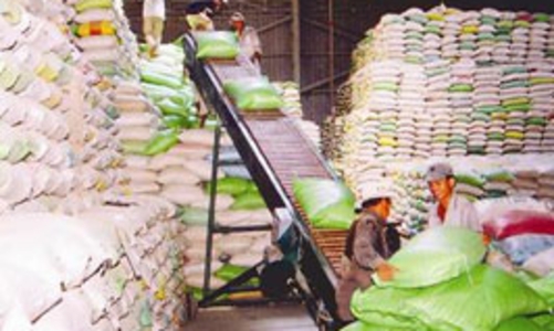 Xuất khẩu gạo năm 2011: Chưa sớm lạc quan?