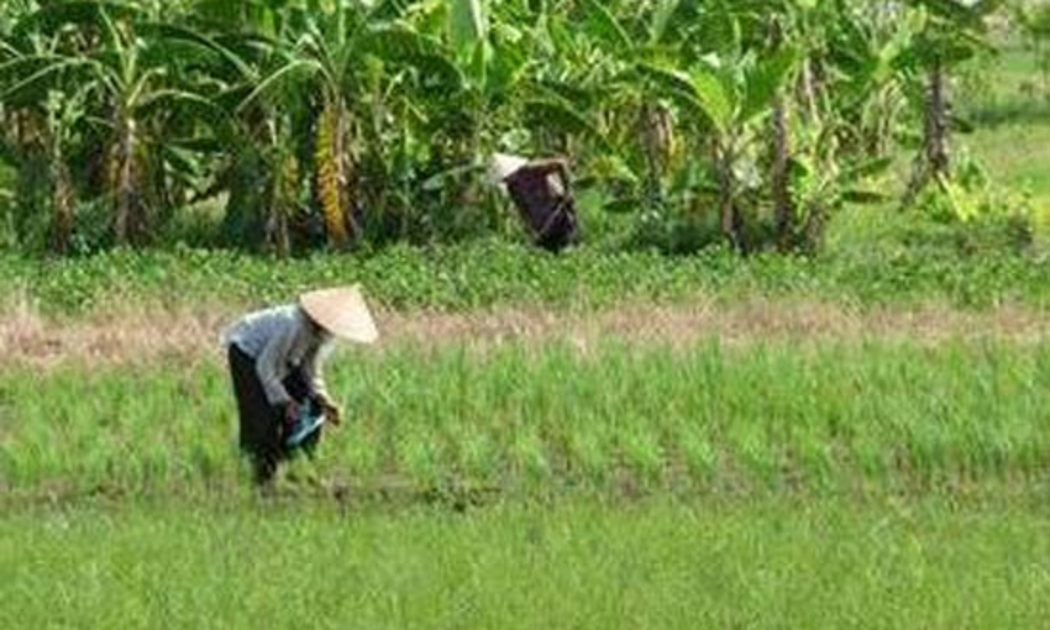 Kiểm kê đất đai nhằm đánh giá đúng thực trạng quản lý và sử dụng đất.