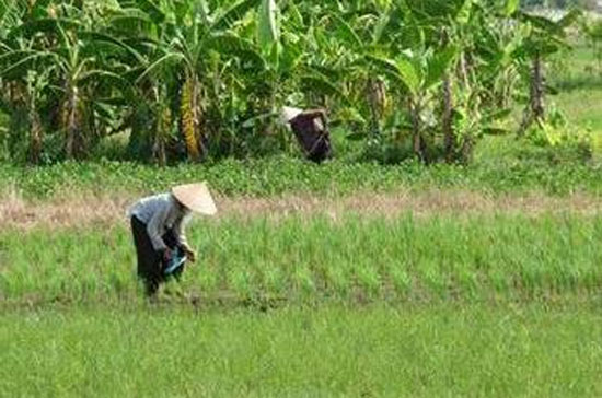 Kiểm kê đất đai nhằm đánh giá đúng thực trạng quản lý và sử dụng đất.