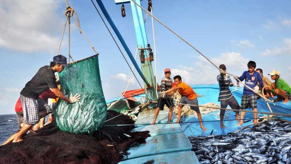 EC sẽ xem xét lại vấn đề "thẻ vàng" của Việt Nam đầu năm 2019.