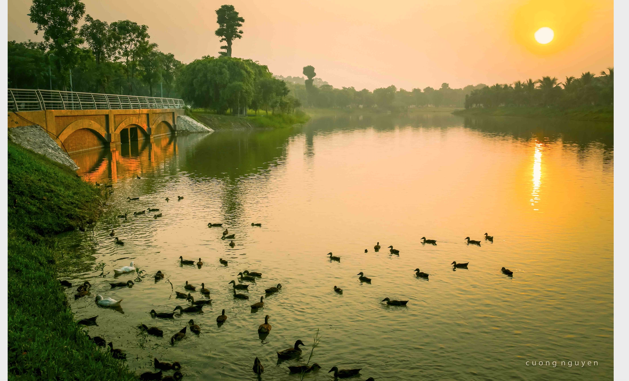 ecopark-mo-rong