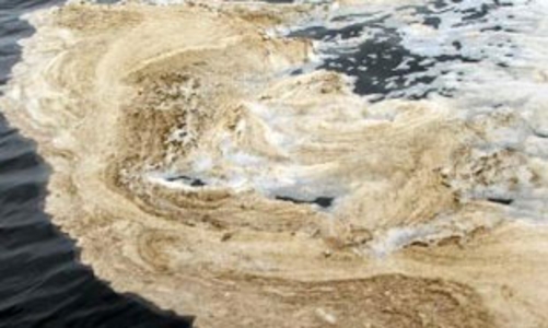 Vụ Vedan: Phát hiện thêm đường ống thải “chui”