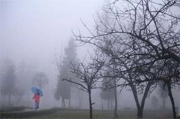 Miền Bắc vẫn tiếp tục có rét đậm nhưng đã bắt đầu có hiện tượng suy yếu.