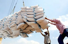 Năm 2010, Sierra Leone đã nhập khẩu khoảng 14.000 tấn gạo từ Việt Nam.