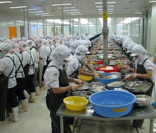 Theo số liệu thống kê của Tổng cục Hải quan, từ đầu năm 2009 đến nay cả nước đã xuất khẩu được trên 632 nghìn tấn thuỷ sản các loại, trị giá gần 2,2 tỷ USD.