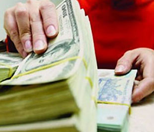 Theo CBV, các nhà đầu tư tiền tệ có thể sử dụng chỉ số này để đánh giá giá trị của một ngoại tệ so với VND.