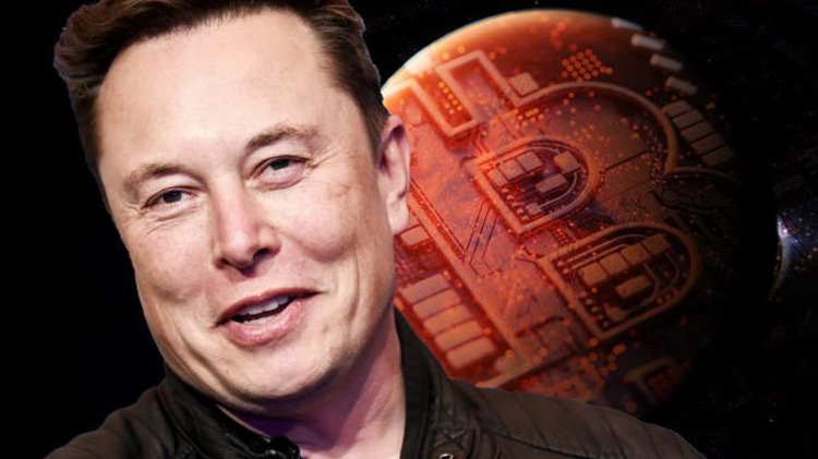 Tỷ phú Elon Musk, CEO của Tesla - Ảnh: Coindesk