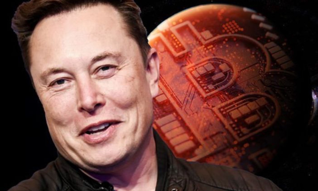 Tỷ phú Elon Musk, CEO của Tesla - Ảnh: Coindesk