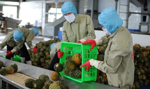 EVFTA thách thức nông sản Việt