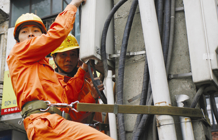 Thu nhập bình quân chung của Công ty mẹ năm 2010 (gồm cả tiền thưởng vận hành an toàn điện) là 13,7 triệu đồng/người/tháng, trong đó thu nhập bình quân Cơ quan Văn phòng cao gấp hơn 2 lần thu nhập bình quân chung.