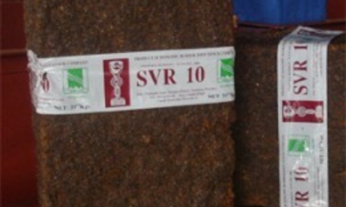 DPR: Dự kiến lãi trước thuế đạt 375 tỷ đồng trong năm 2011