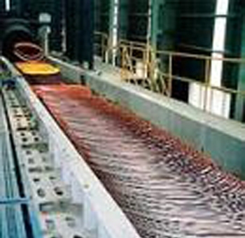 Sản phẩm của Nhà máy bao gồm cả thép cuộn và thép cây.