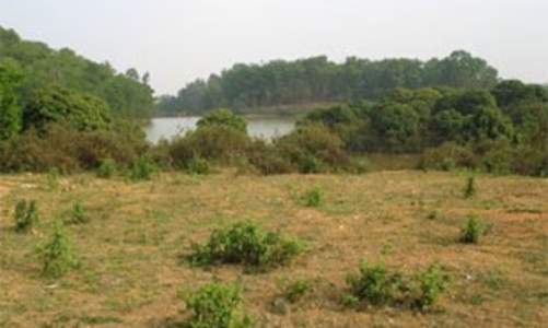 Hà Nội: 7.200 ha đất 