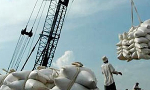 Gần 5 tháng, xuất khẩu hơn 2,4 triệu tấn gạo 