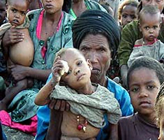 Giá lương thực tăng  cao đang đe dọa nghiêm trọng đời sống của người nghèo trên toàn thế giới.